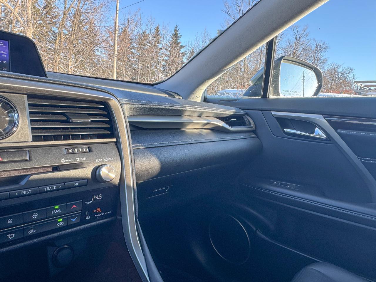 2019 Lexus RX 350 Photo