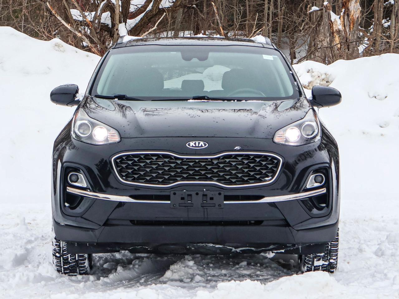2020 Kia Sportage EX Photo