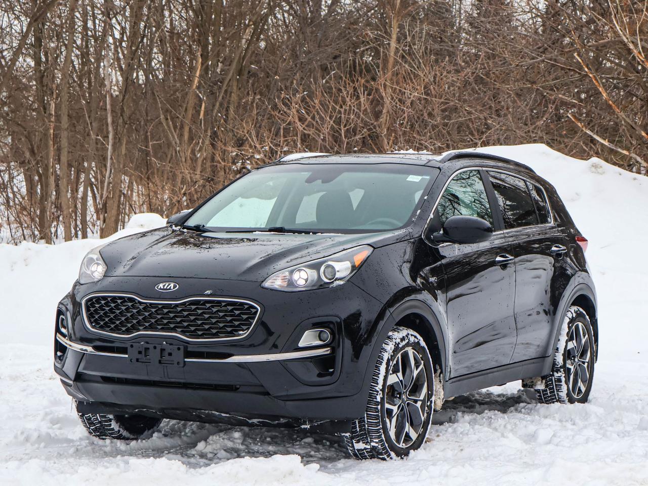 2020 Kia Sportage EX Photo