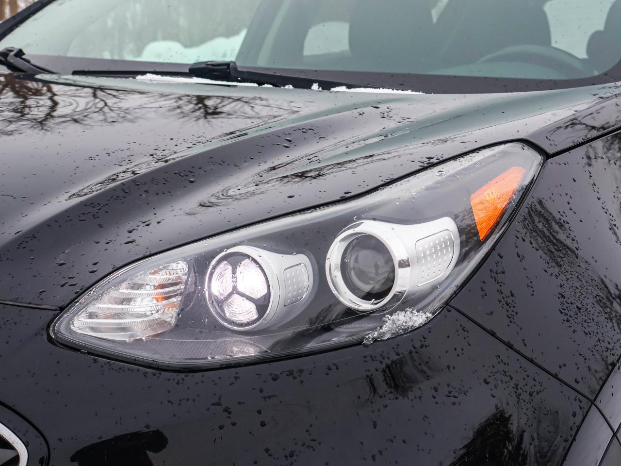 2020 Kia Sportage EX Photo