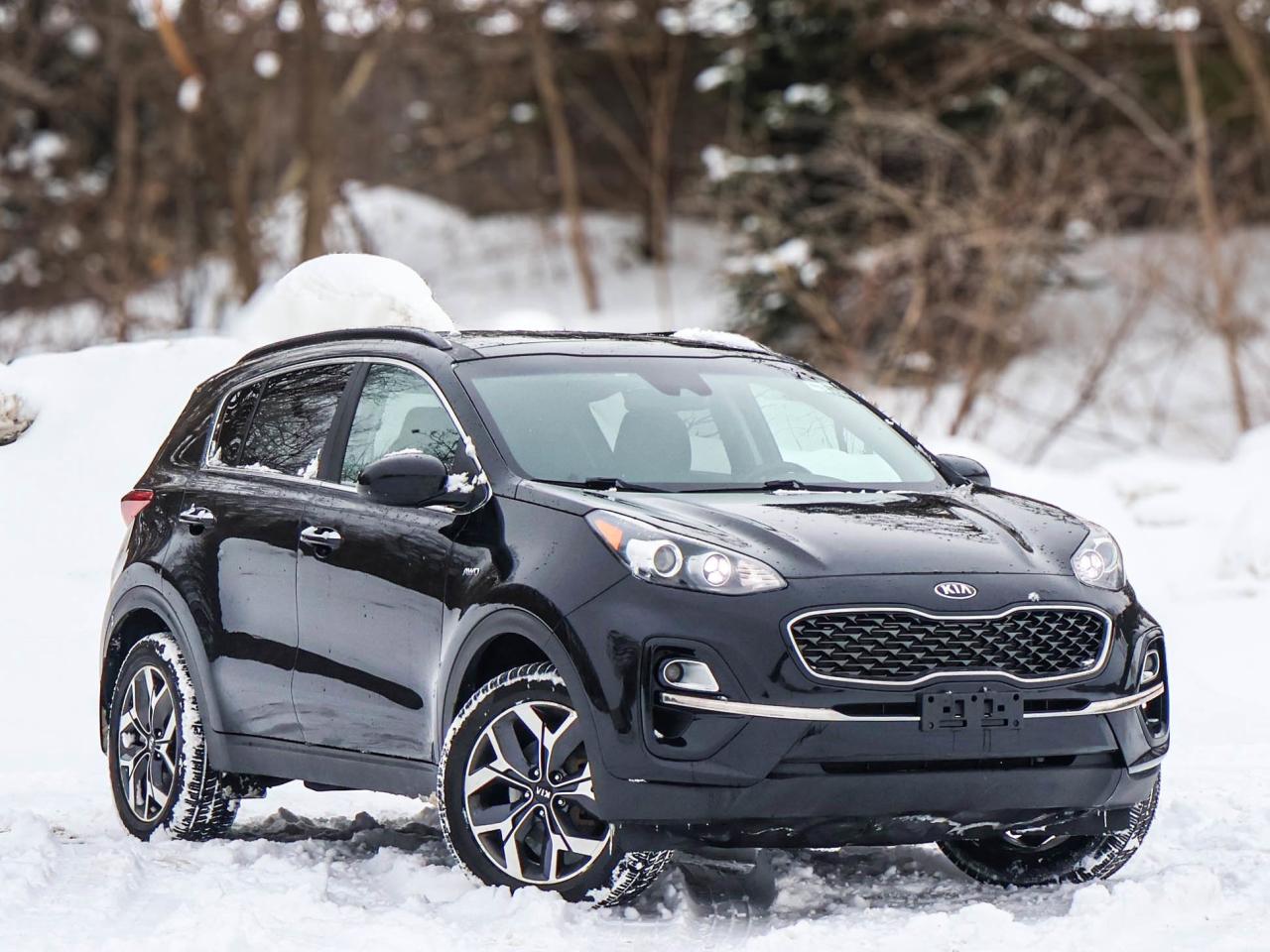 2020 Kia Sportage EX Photo