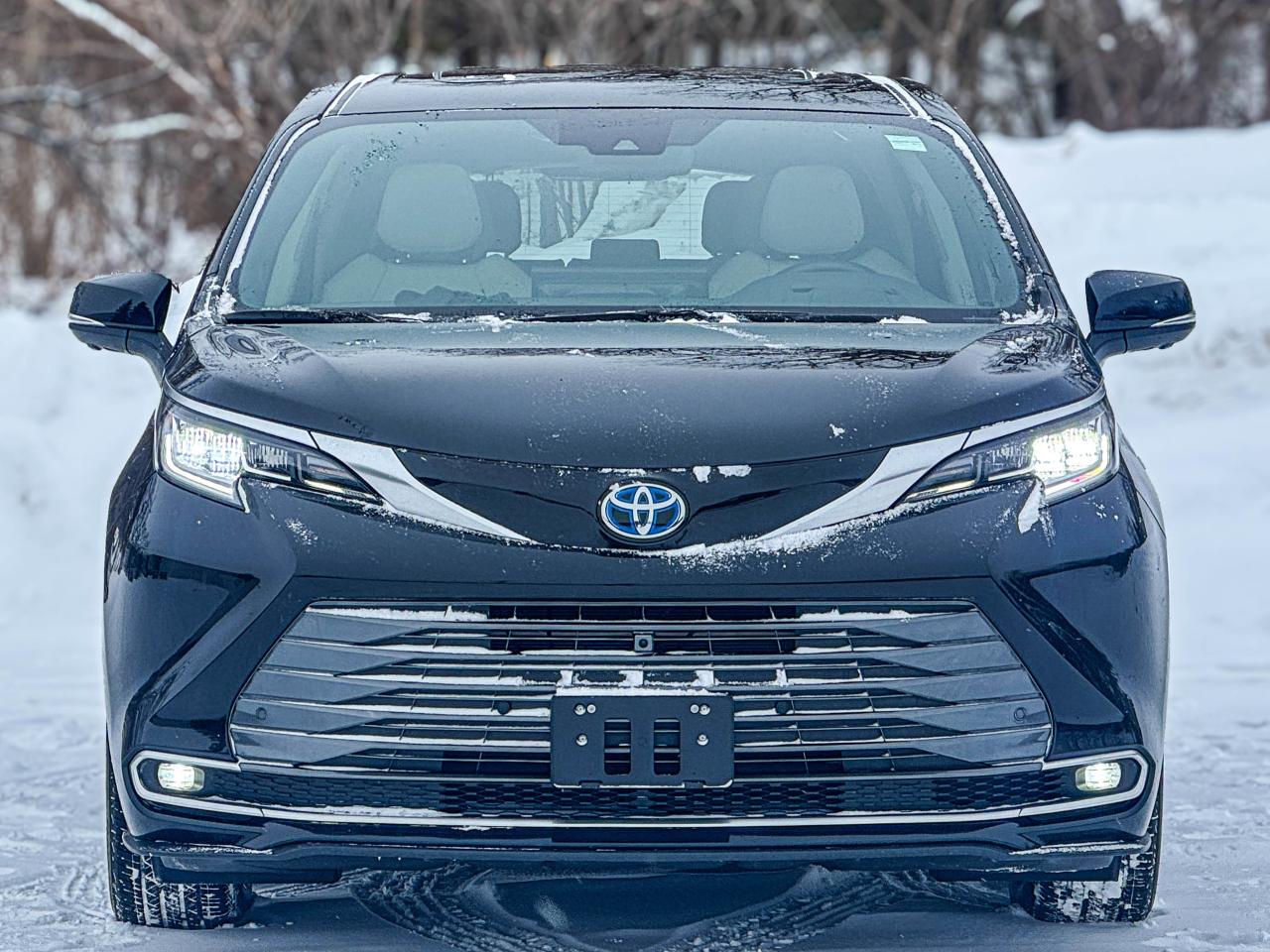 2025 Toyota Sienna LIMITED Photo