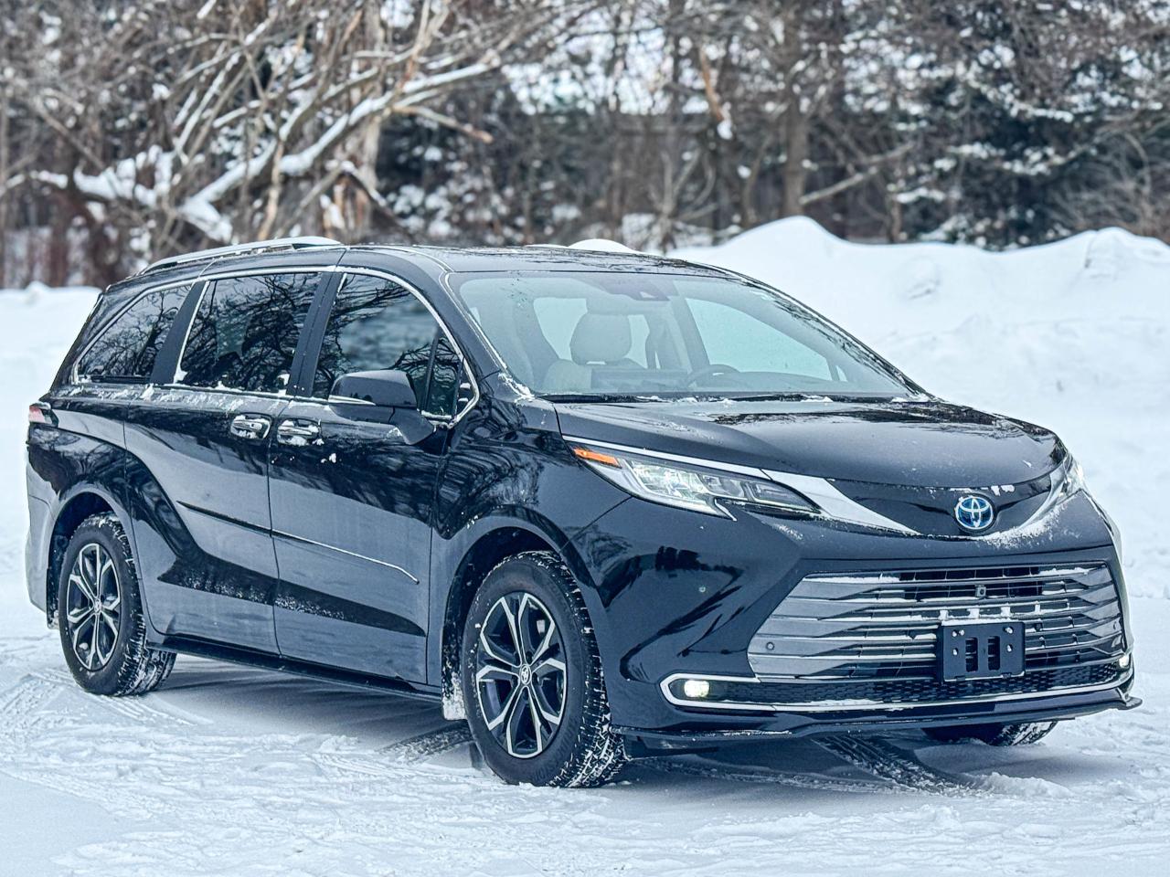 2025 Toyota Sienna LIMITED Photo3