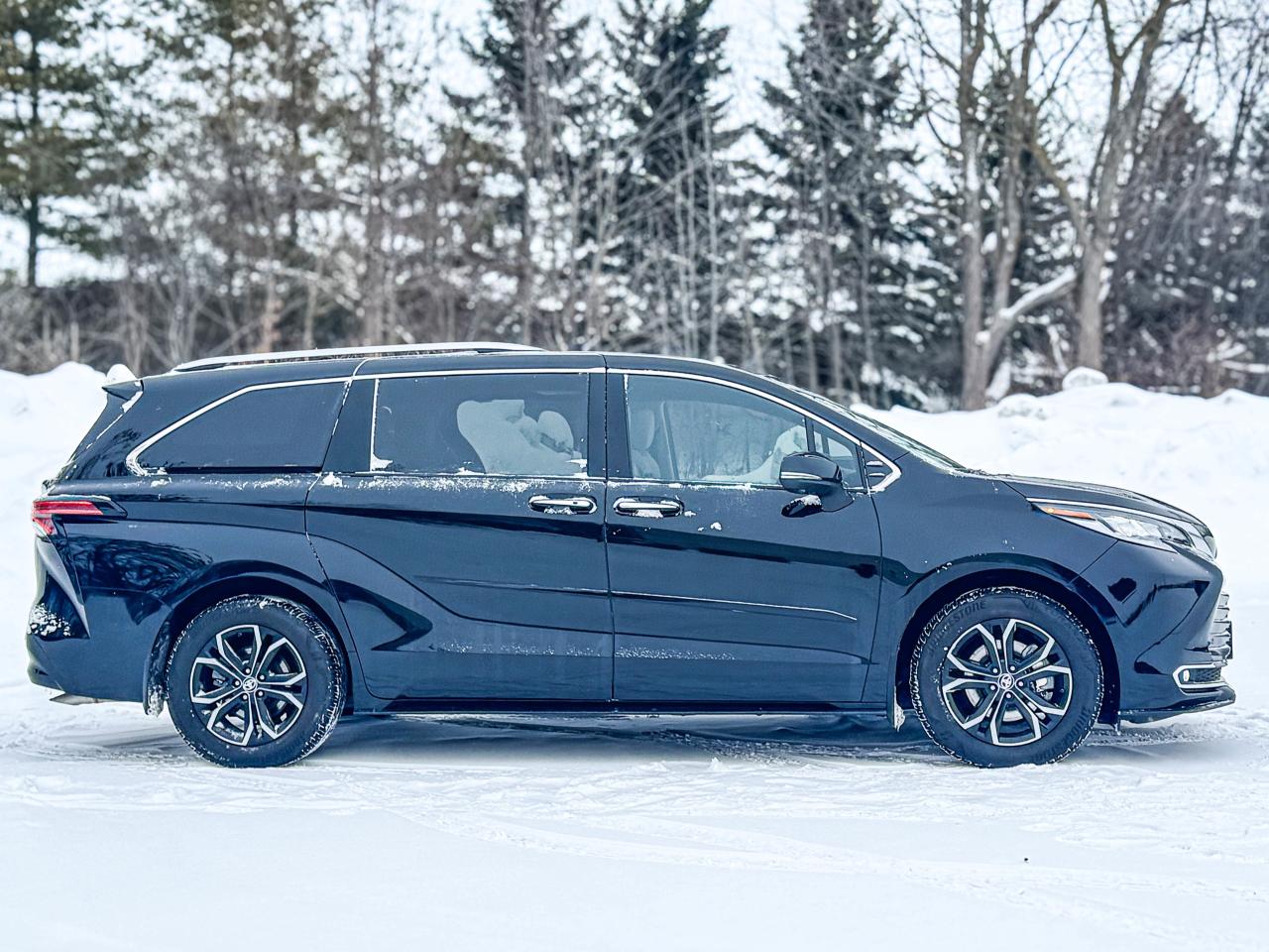 2025 Toyota Sienna LIMITED Photo
