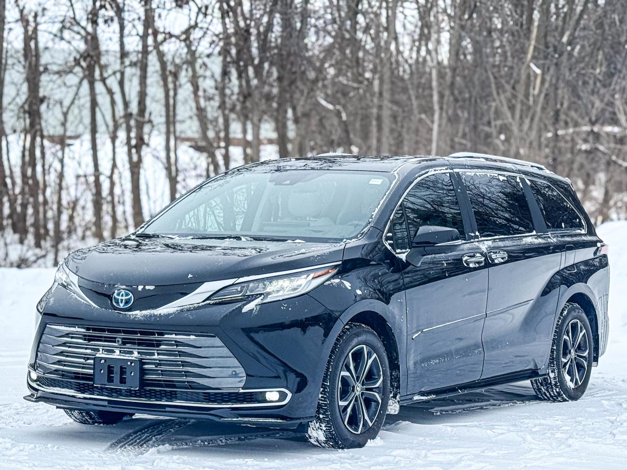 2025 Toyota Sienna LIMITED Photo