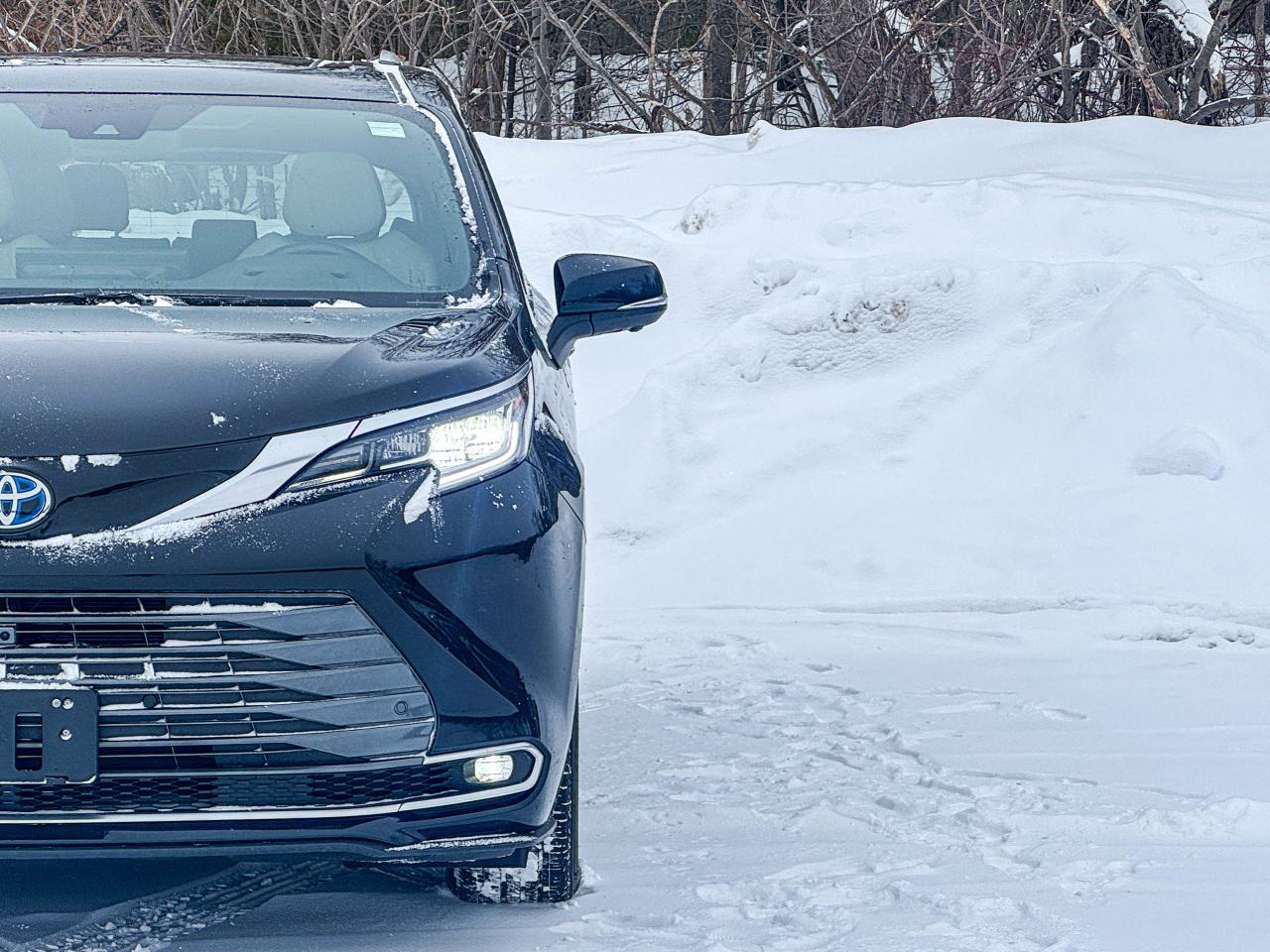 2025 Toyota Sienna LIMITED Photo