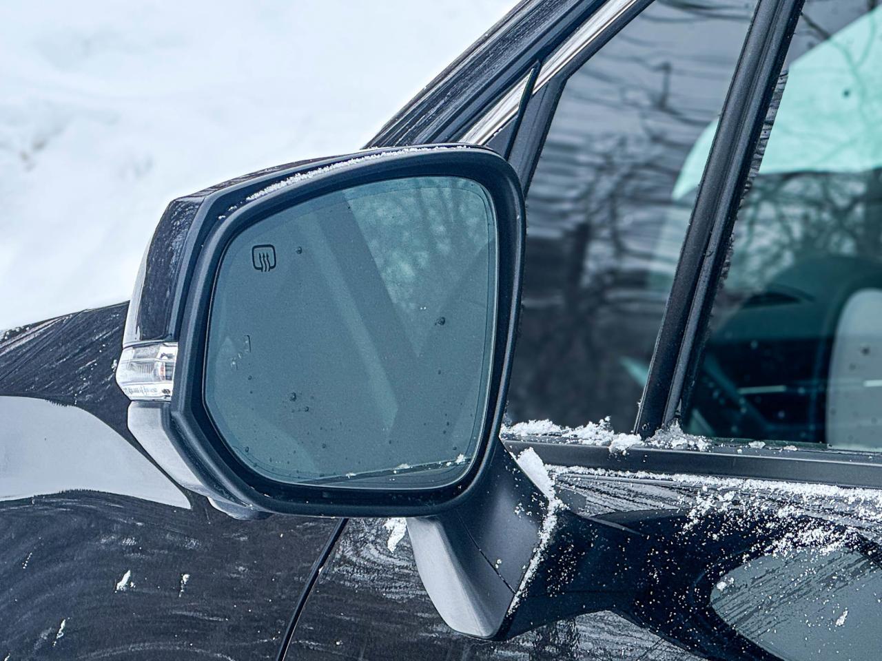 2025 Toyota Sienna LIMITED Photo