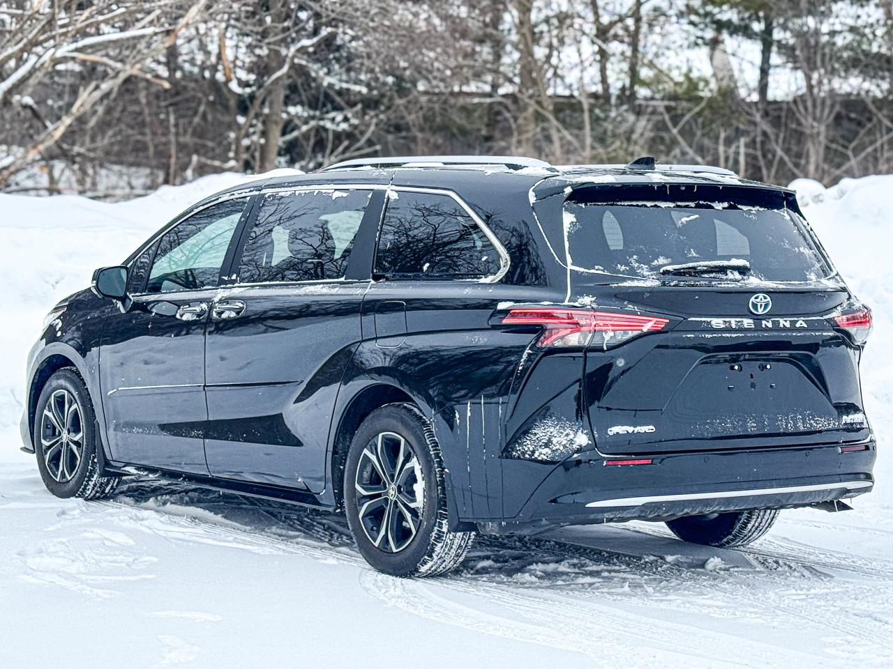 2025 Toyota Sienna LIMITED Photo