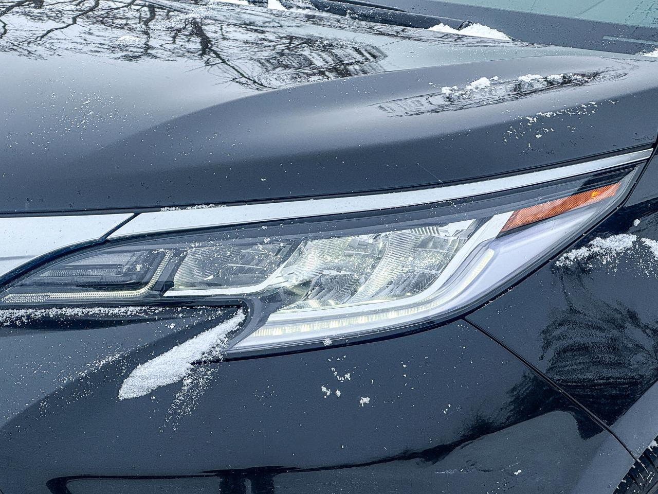 2025 Toyota Sienna LIMITED Photo