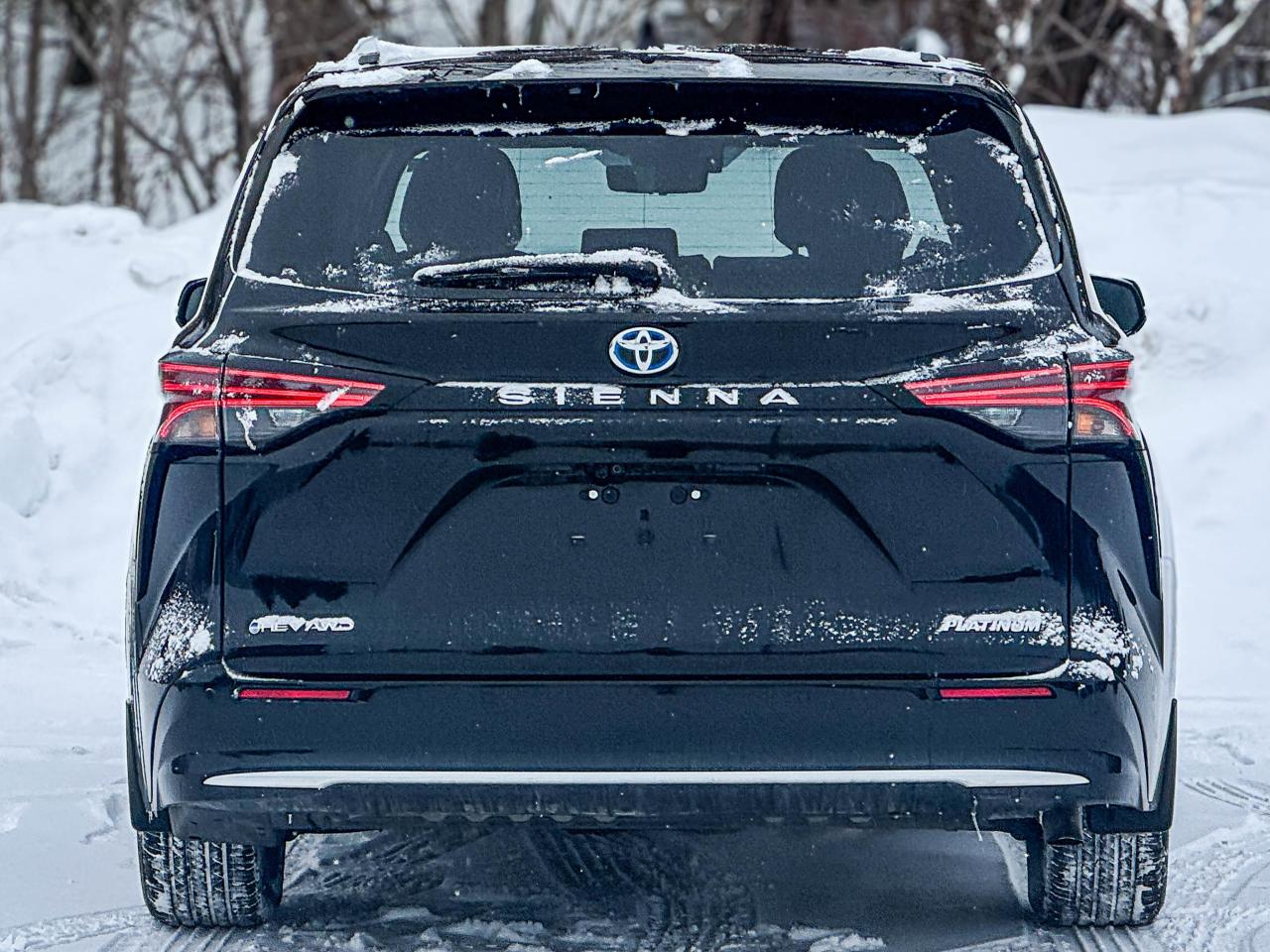 2025 Toyota Sienna LIMITED Photo