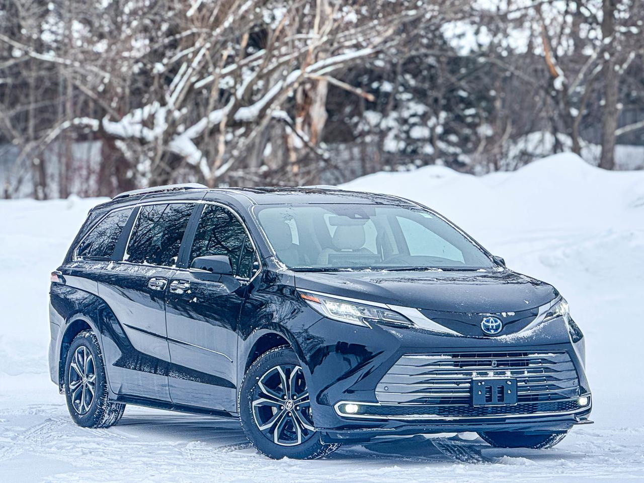 2025 Toyota Sienna LIMITED Photo