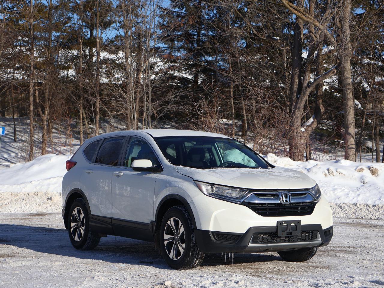 2018 Honda CR-V LX Photo