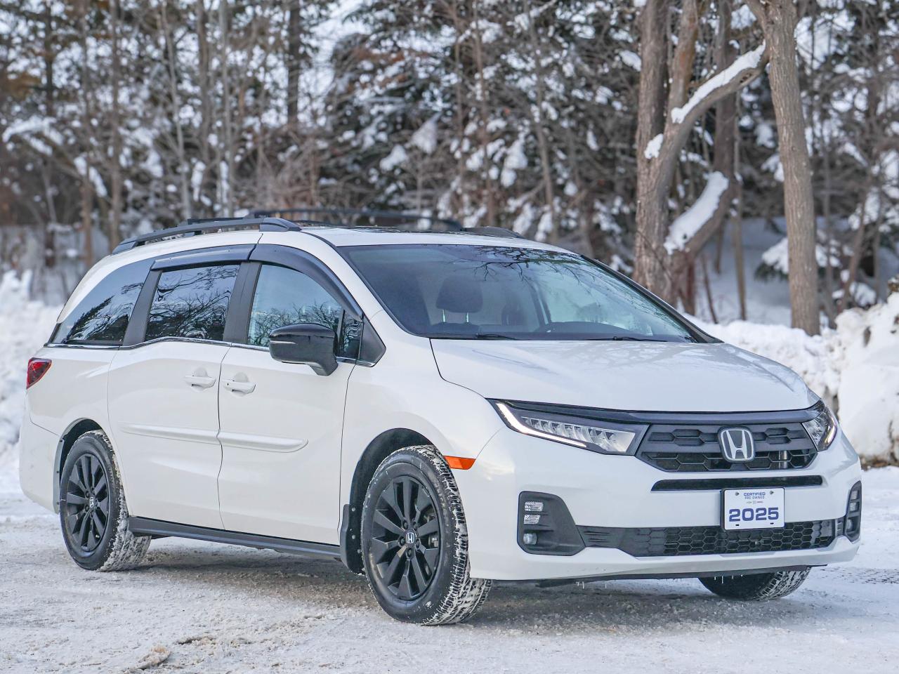 2025 Honda Odyssey SPORT Photo2