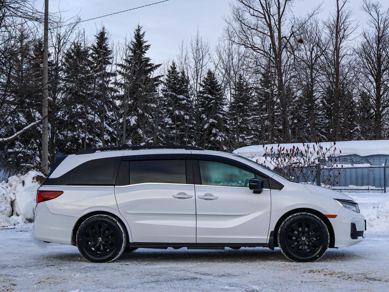2025 Honda Odyssey SPORT Photo3