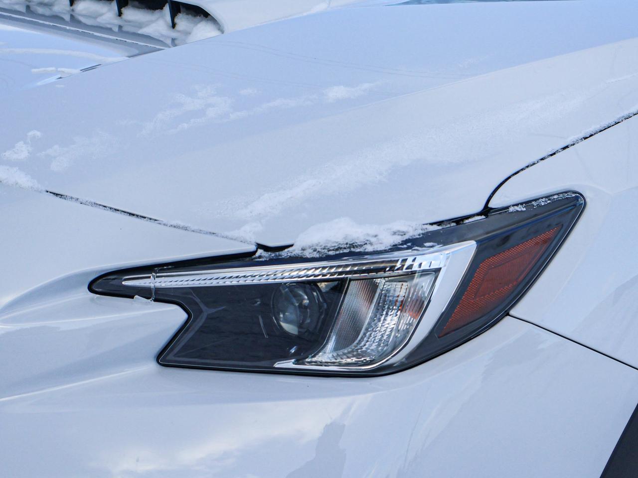 2023 Subaru WRX 4DR MT Photo