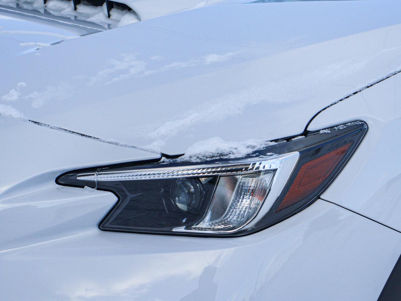 2023 Subaru WRX 4DR MT Photo