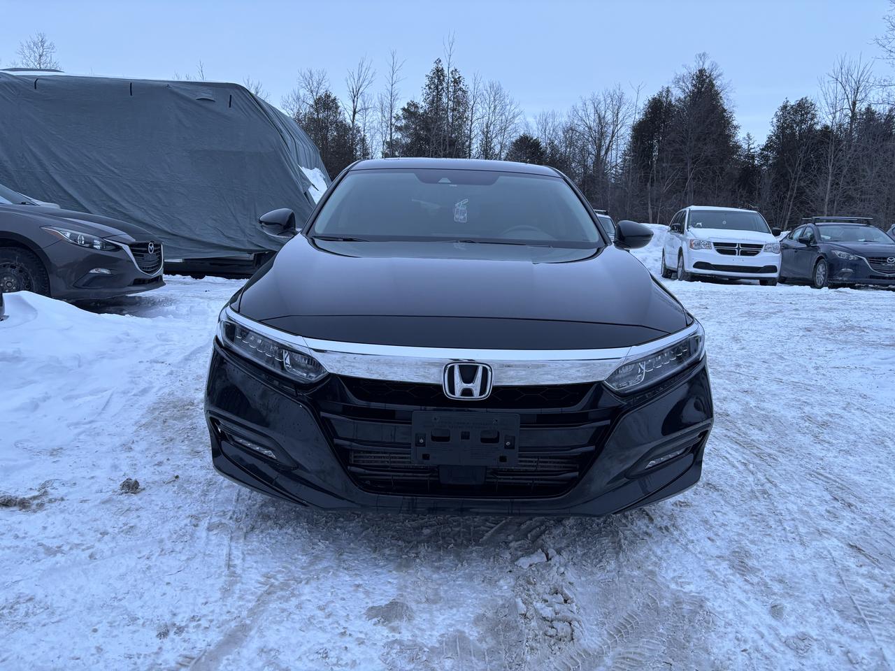 2019 Honda Accord EX-L *REBUILT TITLE* Photo
