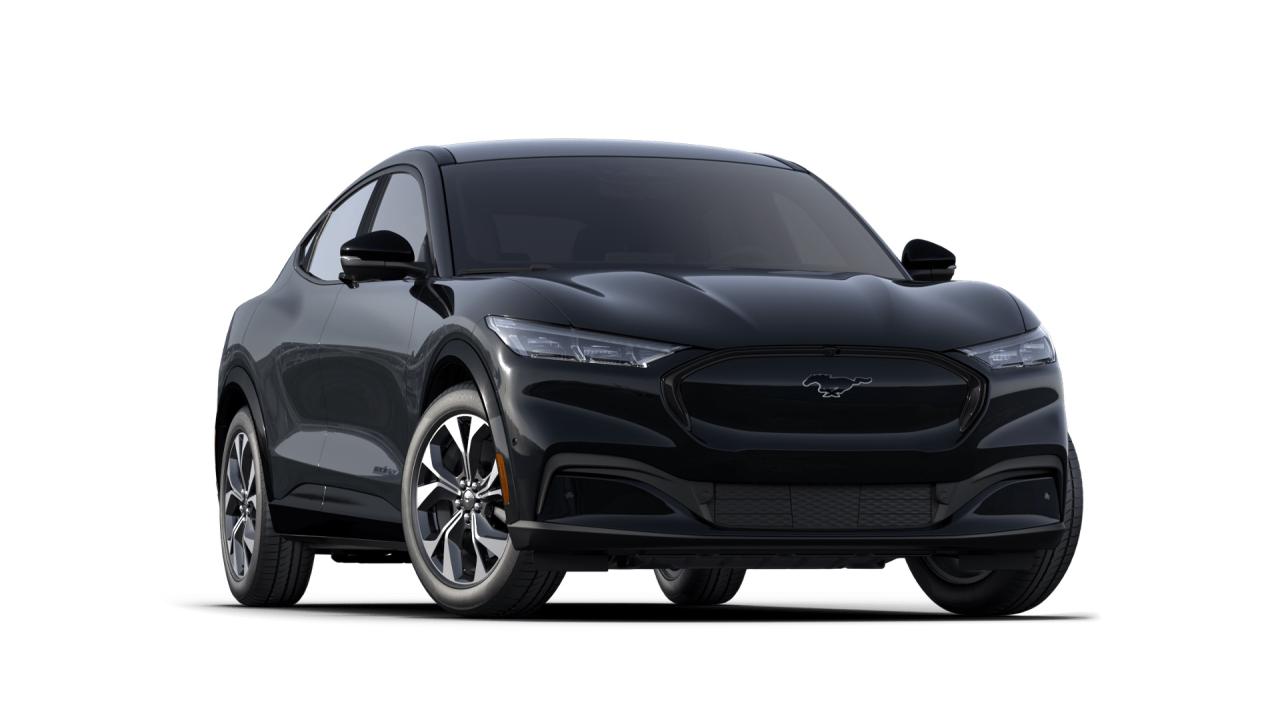 2021 Ford Mustang Mach-E Premium AWD Photo3