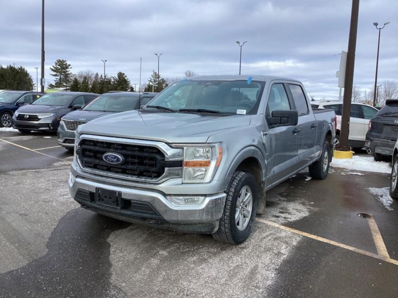 2022 Ford F-150 XLT SuperCrew 6.5' Box 4wd Photo