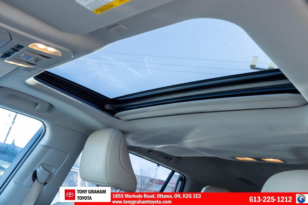 2023 Toyota Highlander HYBRID XLE Photo