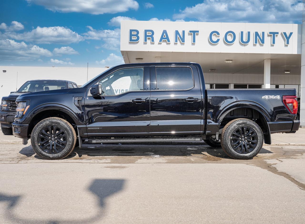 2026 Ford F-150 XLT Photo3