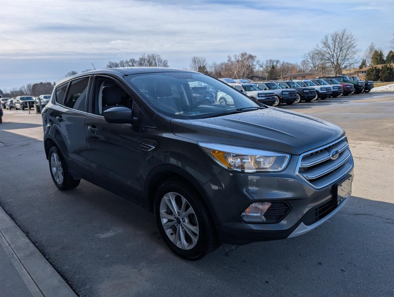 2017 Ford Escape SE Photo2