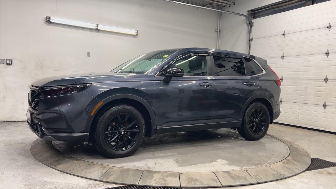 2024 Honda CR-V Hybrid EX-L HYBRID AWD | HTD LEATHER | SUNROOF | CARPLAY Photo4