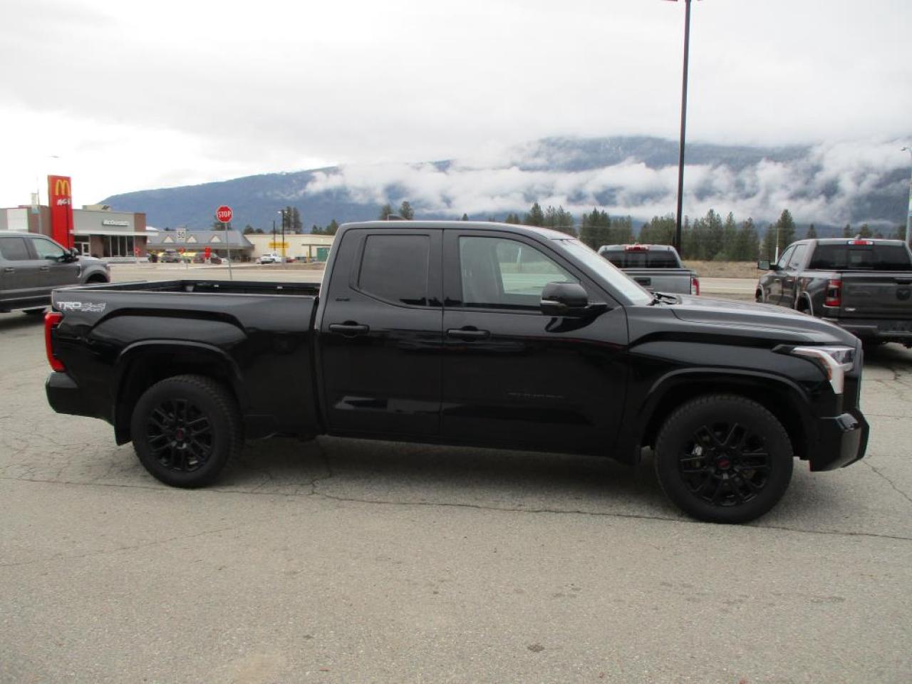 2023 Toyota Tundra SR5 TRD SPORT 4WD - Photo #5