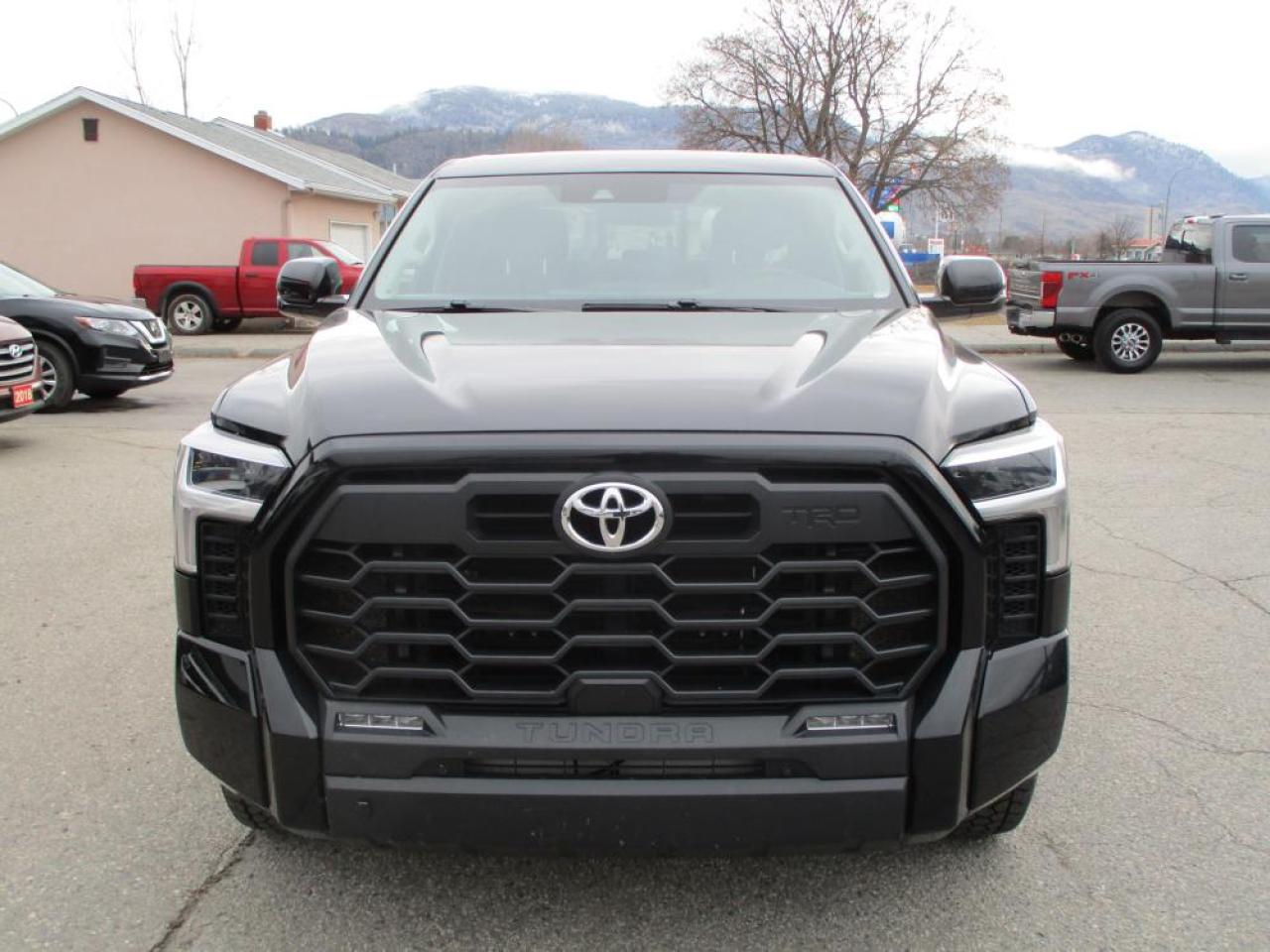 2023 Toyota Tundra SR5 TRD SPORT 4WD - Photo #2