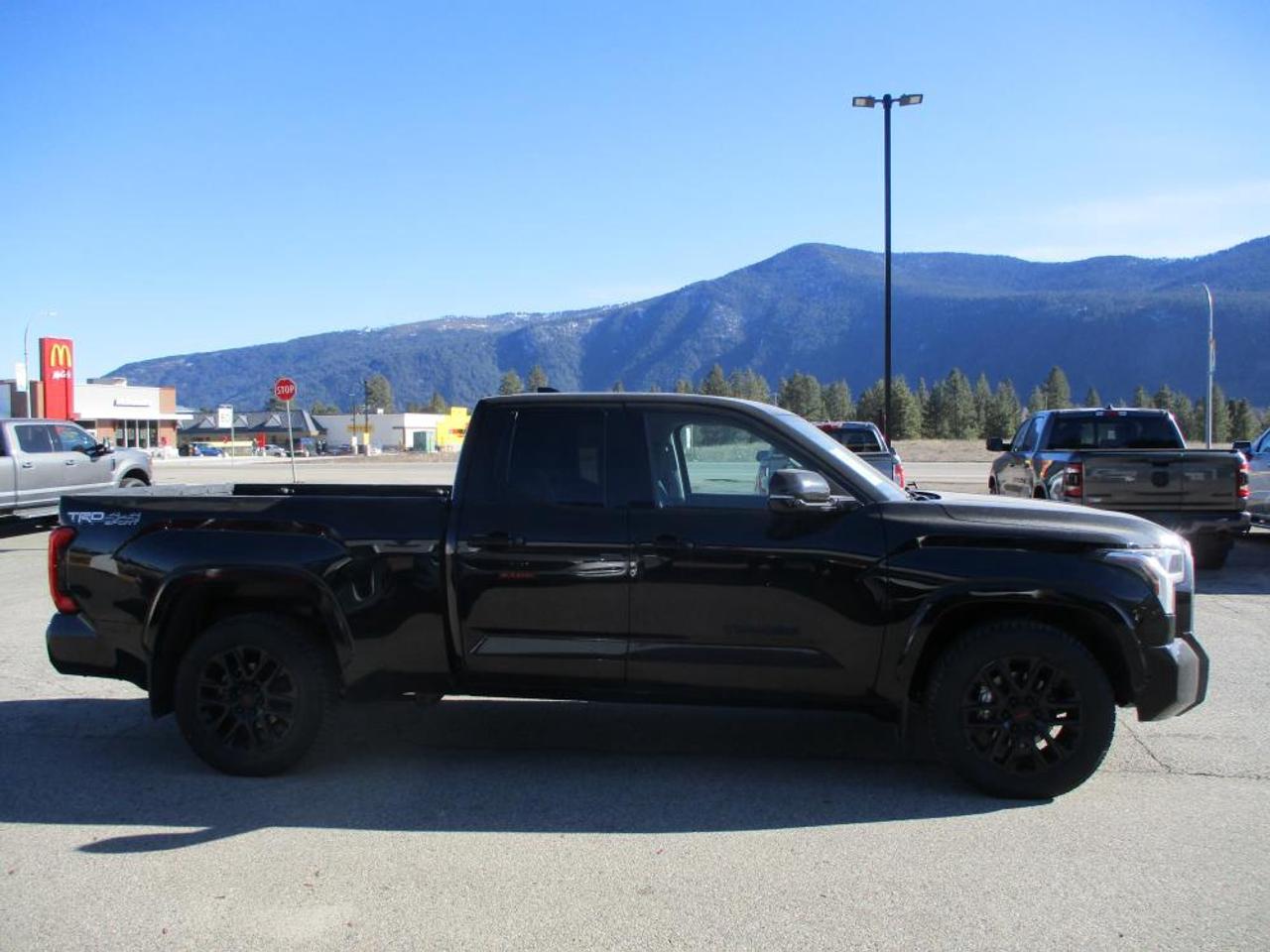 2023 Toyota Tundra SR5 TRD SPORT 4WD - Photo #4