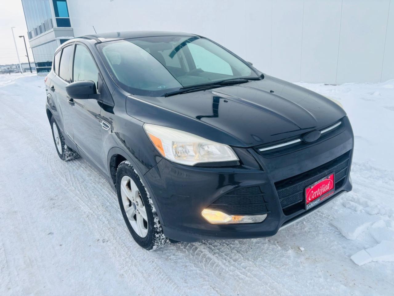 2014 Ford Escape SE 4dr Front-wheel Drive Automatic Photo