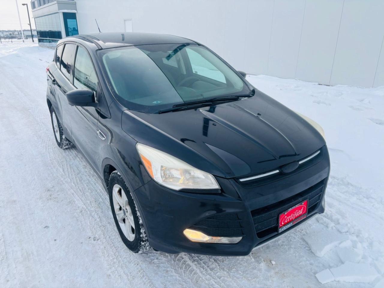 2014 Ford Escape SE 4dr Front-wheel Drive Automatic Photo