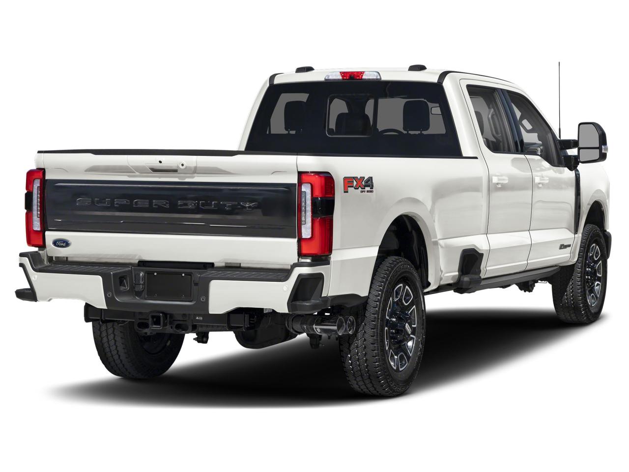 2025 Ford F-350 Super Duty SRW Platinum Photo1