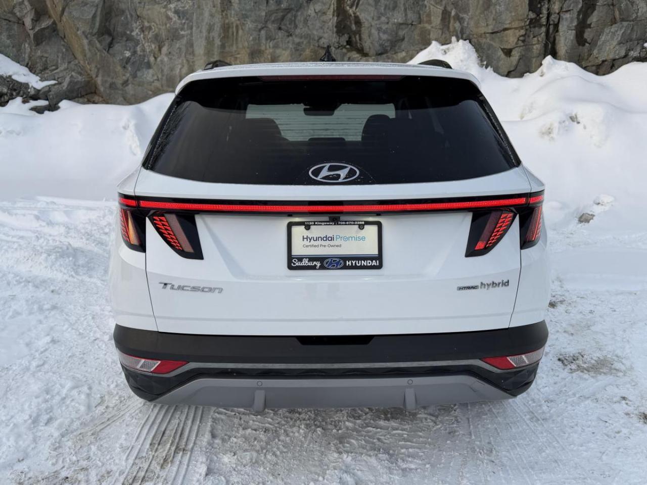 2024 Hyundai Tucson Hybrid Ultimate AWD Photo