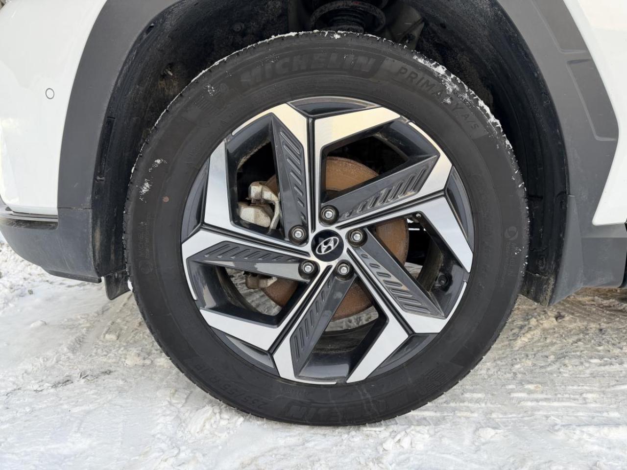 2024 Hyundai Tucson Hybrid Ultimate AWD Photo