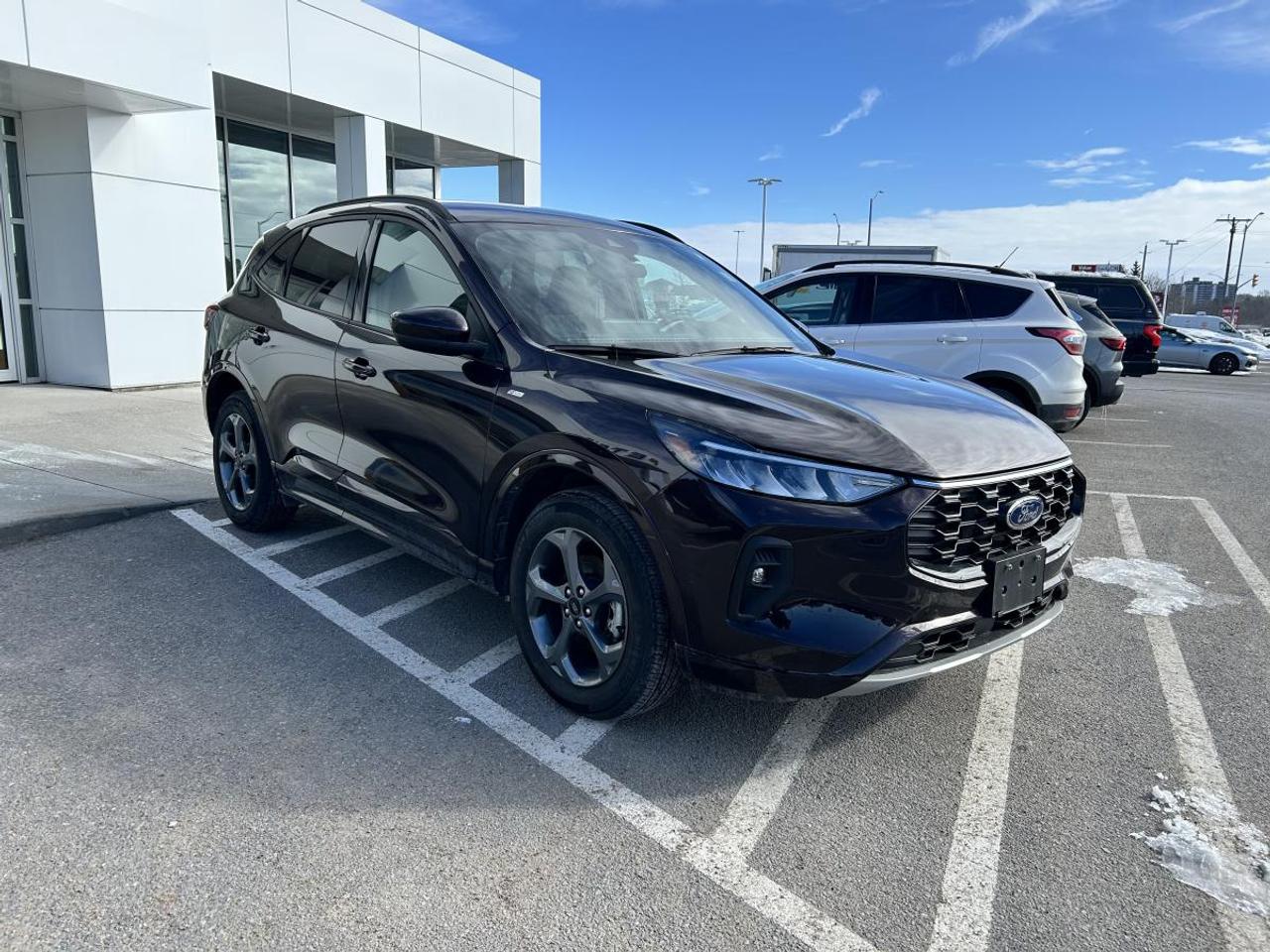 2023 Ford Escape ST-Line Select Photo2