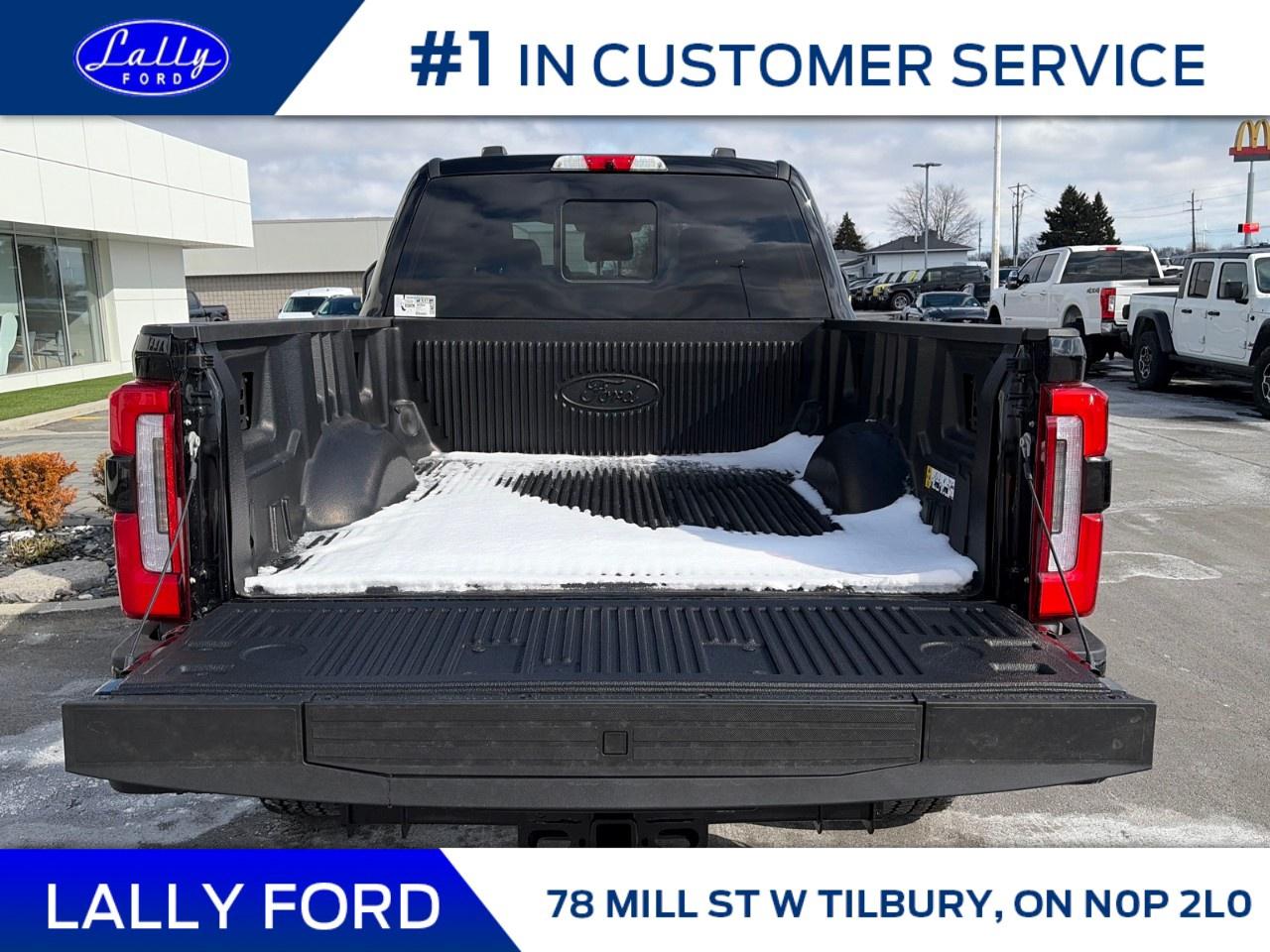 2026 Ford F-250 Super Duty SRW PLATINUM 4WD CREW CAB 6.75' BOX Photo