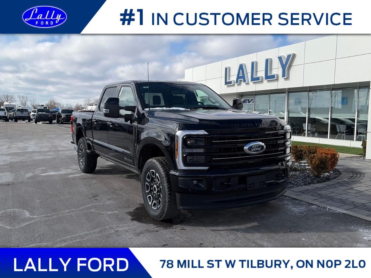 2026 Ford F-250 Super Duty SRW PLATINUM 4WD CREW CAB 6.75' BOX Photo