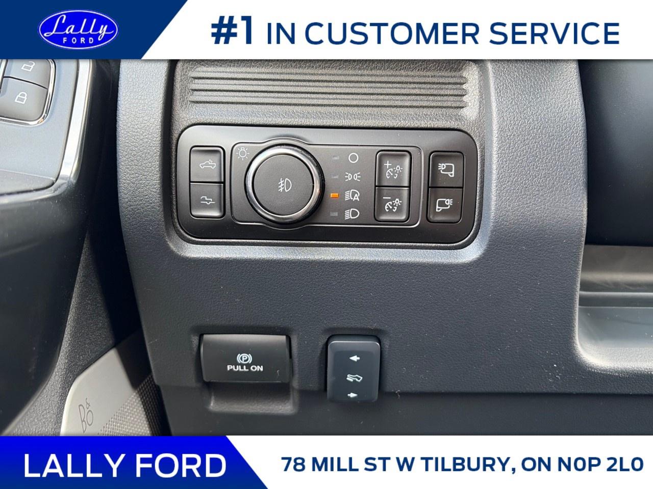 2026 Ford F-250 Super Duty SRW PLATINUM 4WD CREW CAB 6.75' BOX Photo