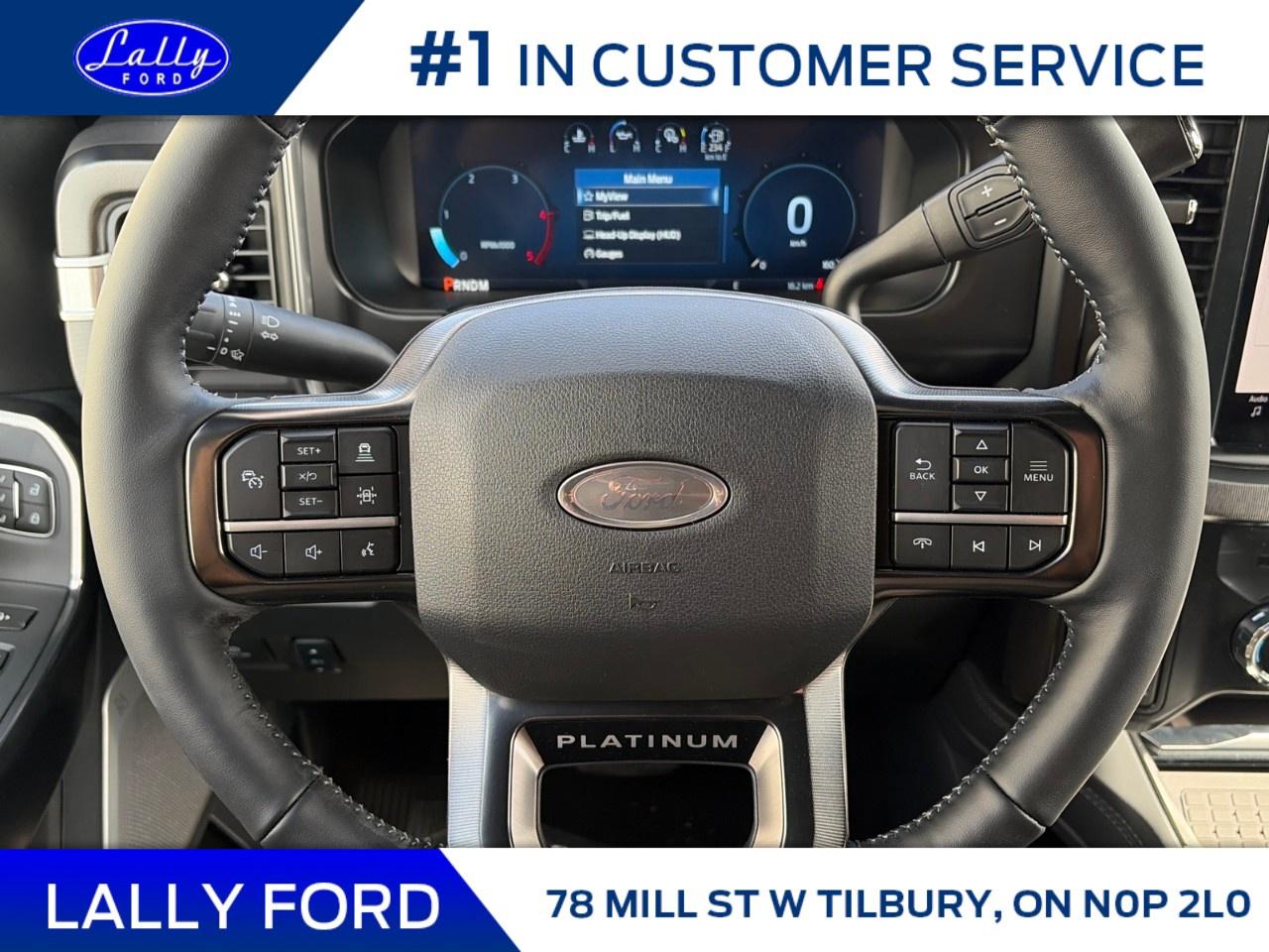 2026 Ford F-250 Super Duty SRW PLATINUM 4WD CREW CAB 6.75' BOX Photo