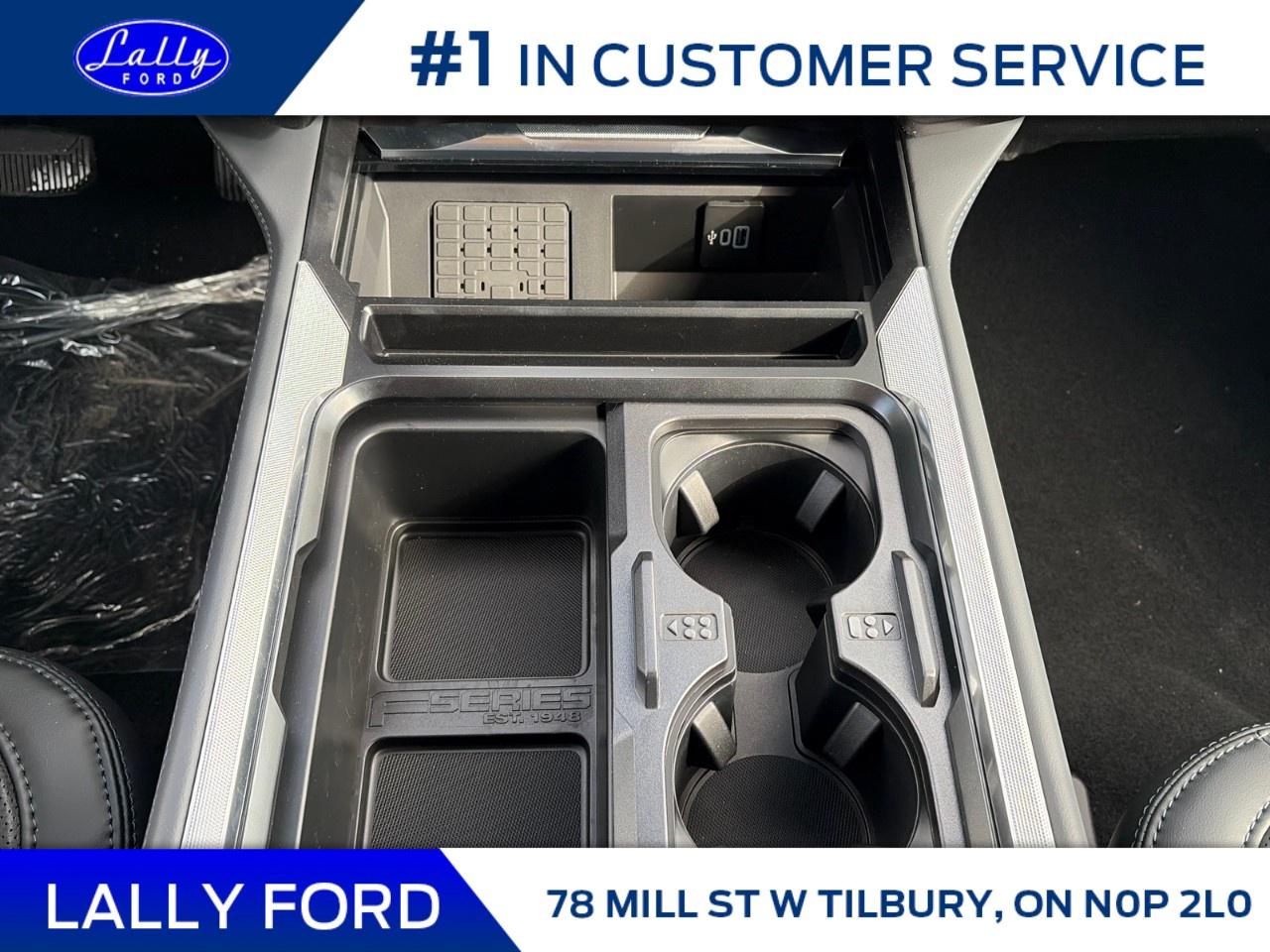 2026 Ford F-250 Super Duty SRW PLATINUM 4WD CREW CAB 6.75' BOX Photo