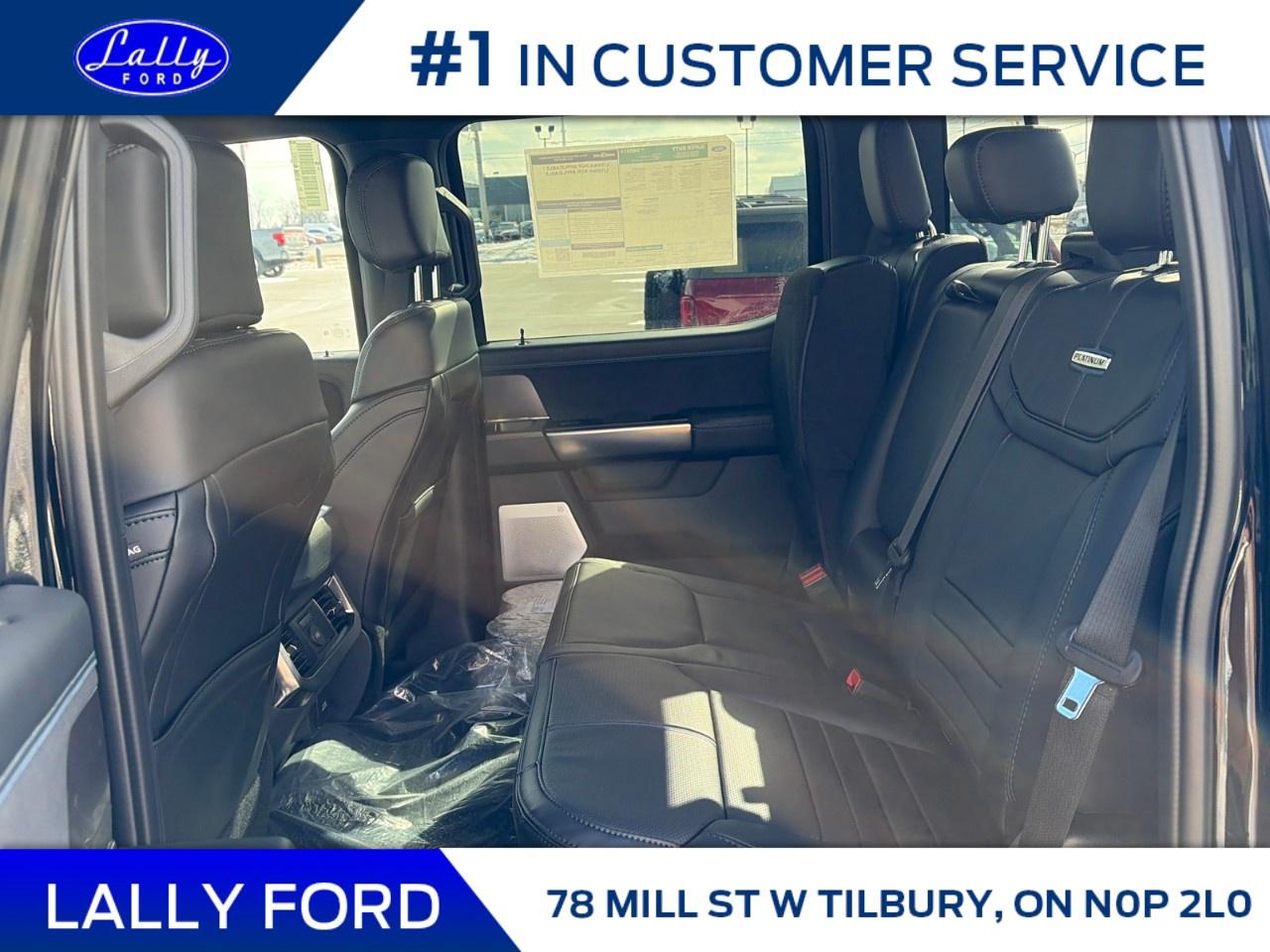 2026 Ford F-250 Super Duty SRW PLATINUM 4WD CREW CAB 6.75' BOX Photo