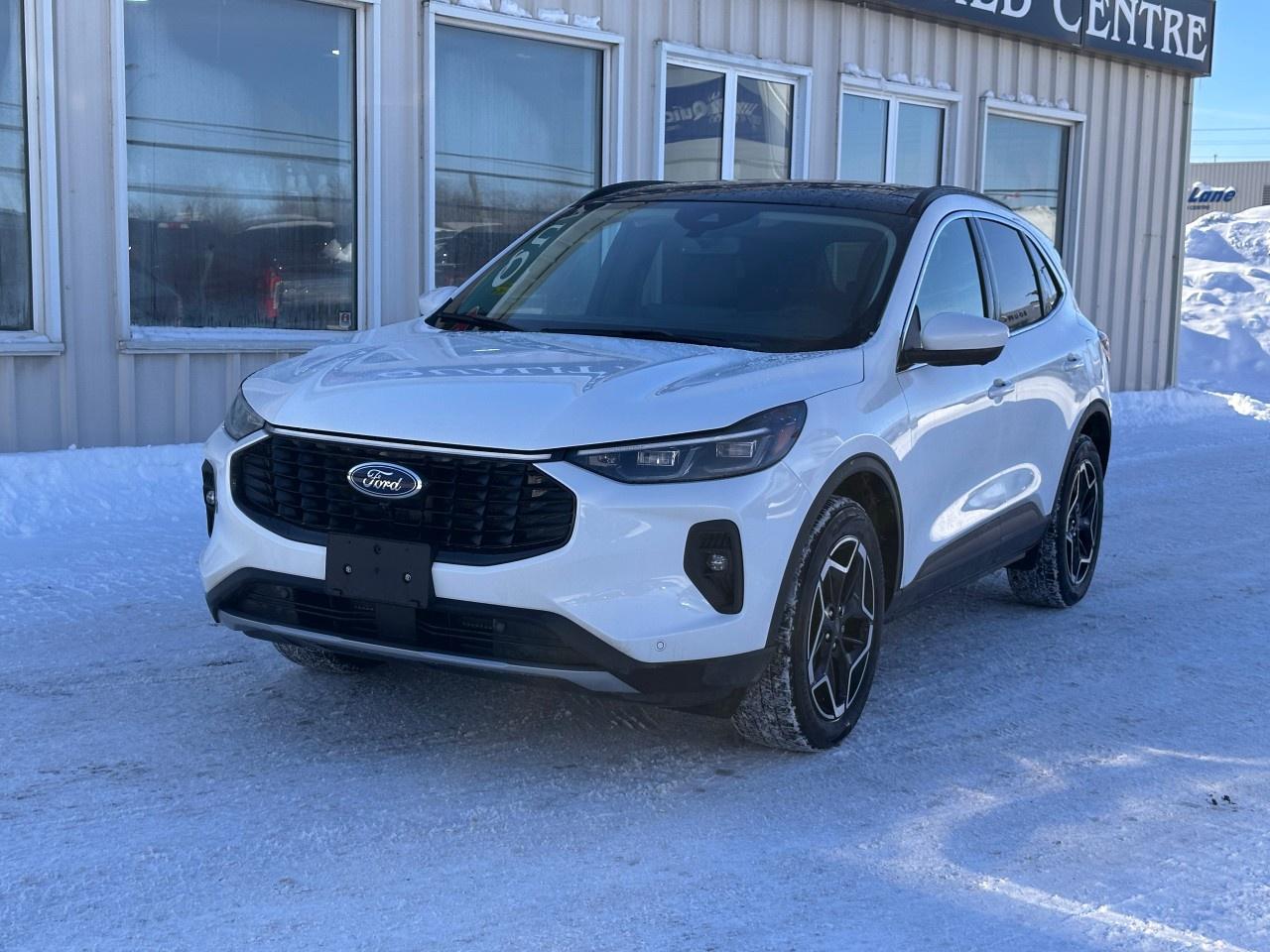 2026 Ford Escape Platinum AWD Photo