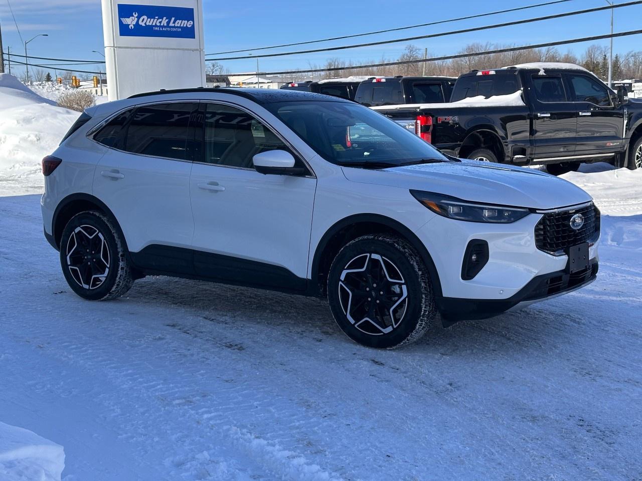 2026 Ford Escape Platinum AWD Photo