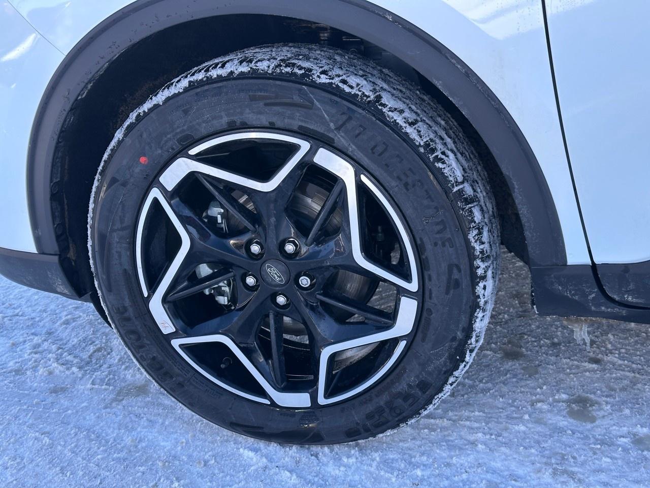 2026 Ford Escape Platinum AWD Photo