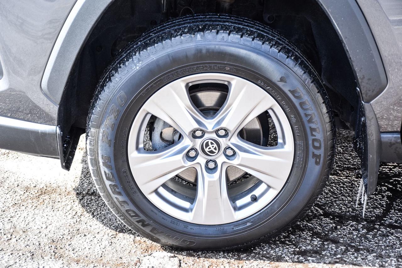 2022 Toyota RAV4 XLE AWD No Accident Sunroof Carplay BSM Photo