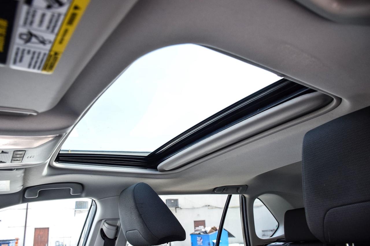 2022 Toyota RAV4 XLE AWD No Accident Sunroof Carplay BSM Photo