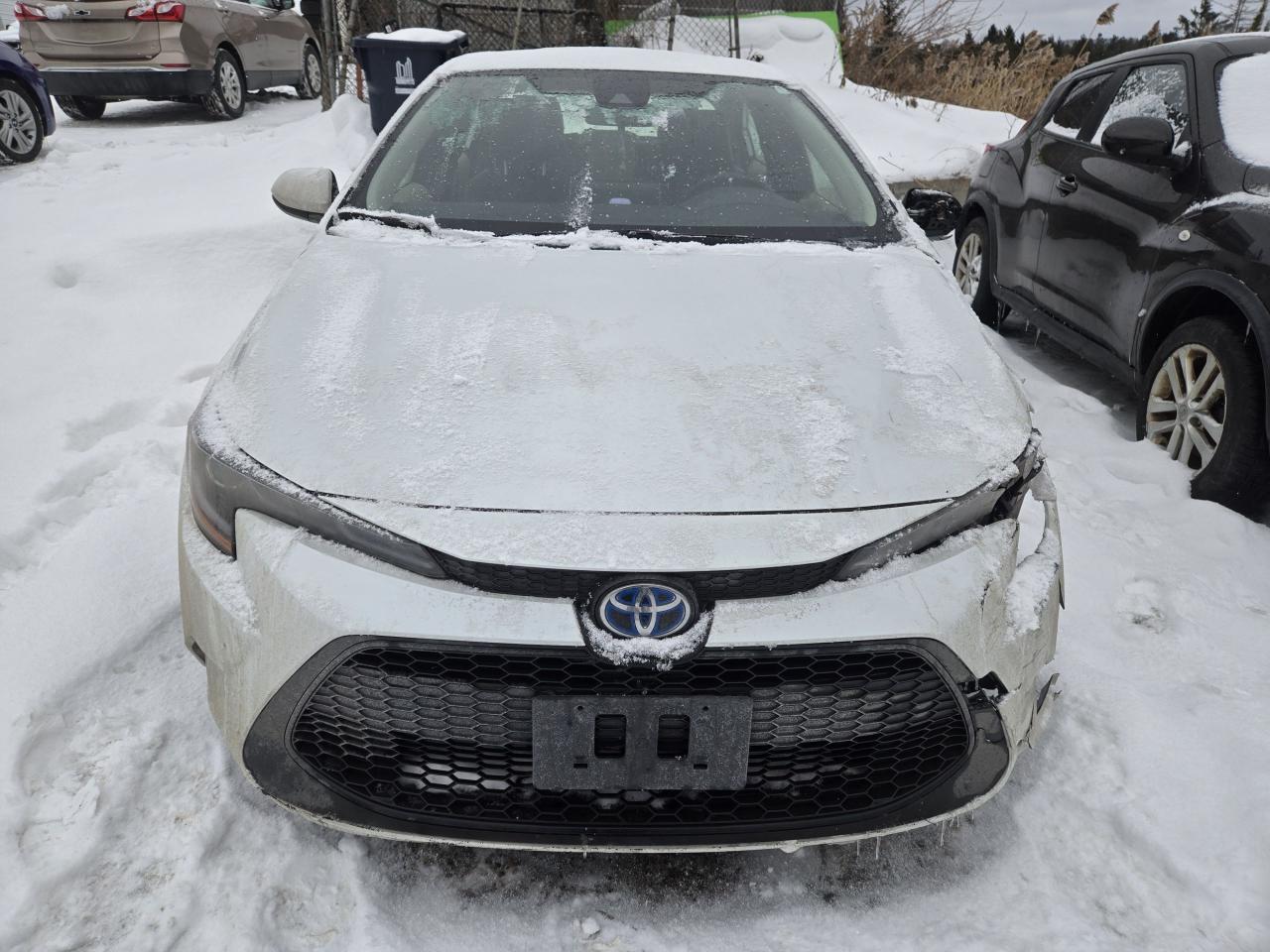 2022 Toyota Corolla Hybrid Photo