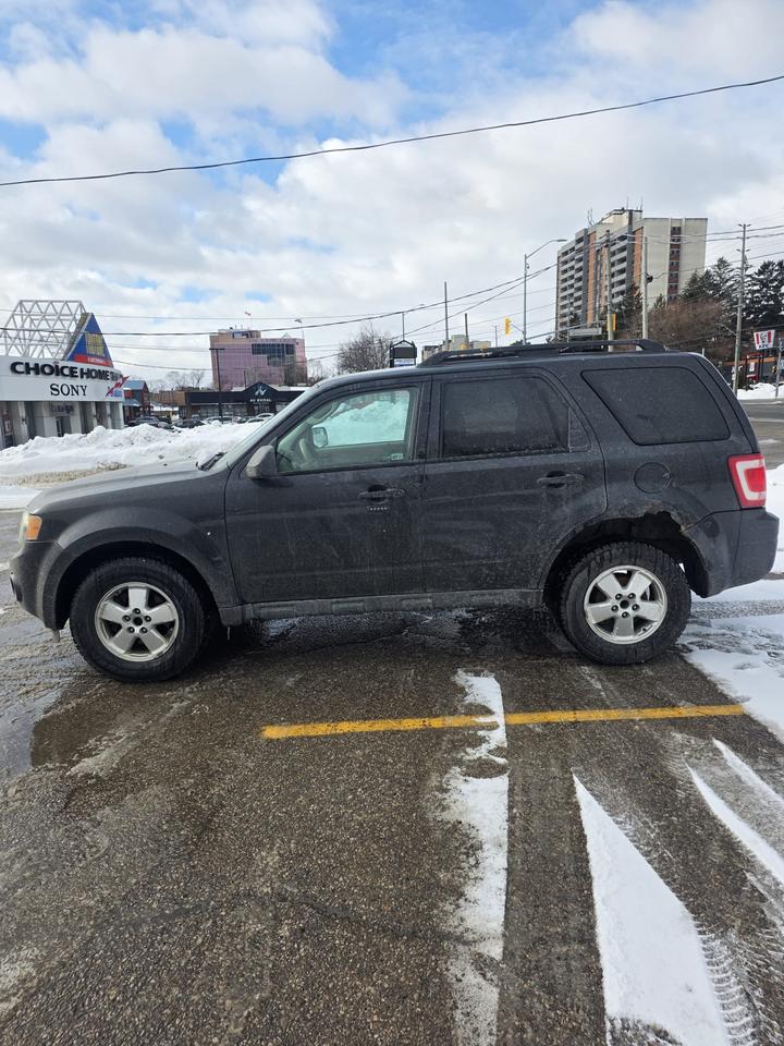 2012 Ford Escape FWD 4dr XLT Photo