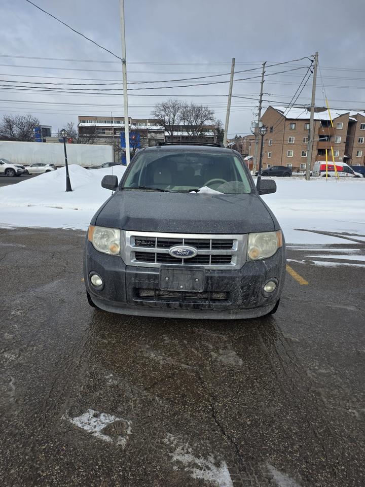 2012 Ford Escape FWD 4dr XLT Photo